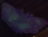 Glow in the Dark Handmade Resin Witchy Cottagecore Moth Keychain