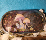'Galaxy Mushrooms' Glow in the Dark Handmade Resin Shimmery Galaxy Mushroom Dice Rolling Tray