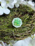 'Psychodelic Watermelon' Cone of Frost D8 Gaming Dice