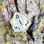 'Fairy Lights' Opalescent Flake Colorshifting Handmade Resin Shimmery TTRPG Polyhedral Gaming SPINDOWN Dice D20