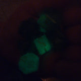 'Toxic' Neon Glow in the Dark Handmade Resin TTRPG Polyhedral Gaming Dice Set