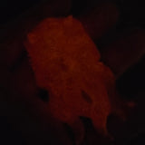 'Mindflayer' Individual Large Handmade Resin Decorative Glow in the Dark Colorshifting Pin