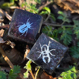 'Beetles, Baby' Individual Handmade Resin Colorshifting Shimmer TTRPG Insect Themed Board Game D6 Dice