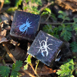 'Beetles, Baby' Individual Handmade Resin Colorshifting Shimmer TTRPG Insect Themed Board Game D6 Dice