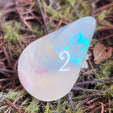 'Wibble Wobble Oloid' Glow in the Dark Shimmery Rainbow Handmade Resin Alternative Shape D4 TTRPG Gaming Dice