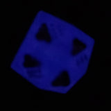 Dungeon Master DM Random Weather 20mm Oversized D12 TTRPG Gaming Dice