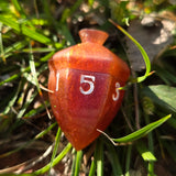 OOAK Acorn Shaped Handmade Resin Colorshifting Individual TTRPG Gaming Dice D6