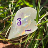 'Wibble Wobble Oloid' Glow in the Dark Shimmery Rainbow Handmade Resin Alternative Shape D4 TTRPG Gaming Dice