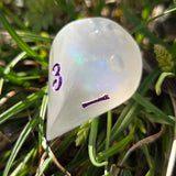 'Wibble Wobble Oloid' Glow in the Dark Shimmery Rainbow Handmade Resin Alternative Shape D4 TTRPG Gaming Dice