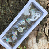 'Toxic Flowers' Toxic Spring Handmade Resin Rainbow Shimmer Glow in the Dark Alternative Dice Shapes Polyhedral Gaming Dice Set